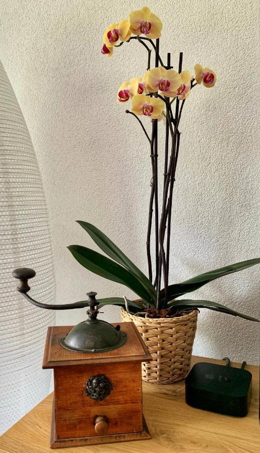 קנדרסטג Bueelbad - Relax Holiday Apartment מראה חיצוני תמונה